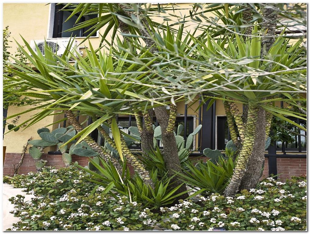 Hotel Veronese Cerignola Extérieur photo